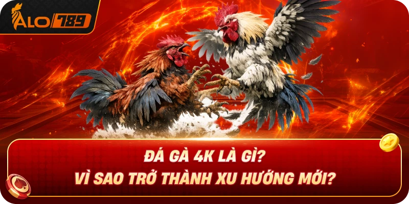 da-ga-4k-la-gi-vi-sao-tro-thanh-xu-huong-moi