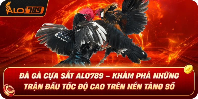 da-ga-cua-sat-alo789-kham-pha-nhung-tran-dau-toc-do-cao-tren-nen-tang-so