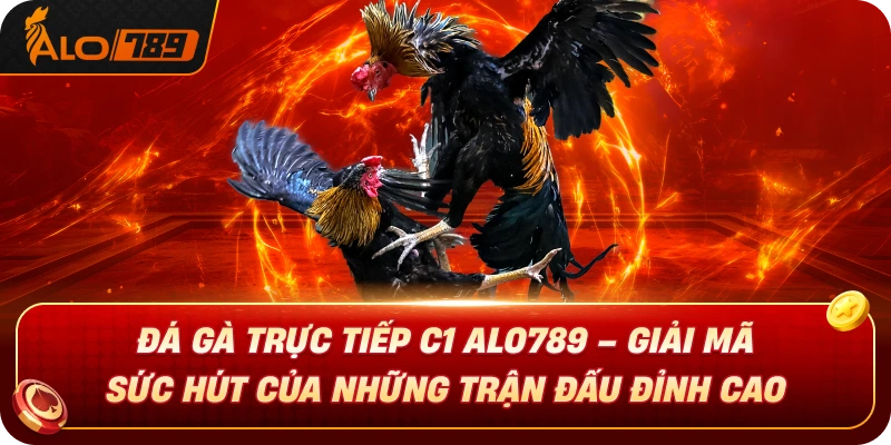 da-ga-truc-tiep-c1-alo789-giai-ma-suc-hut-nhung-tran-dau-dinh-cao