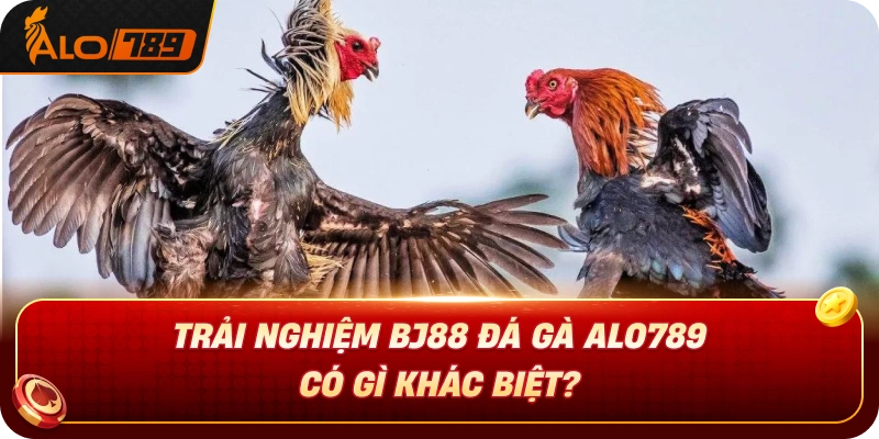 trai-nghiem-da-ga-alo789-co-gi-khac-biet